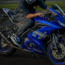 Adesivo GP Racing Holográfico - Yamaha YZF R15