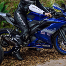 Adesivo GP Racing Holográfico - Yamaha YZF R15